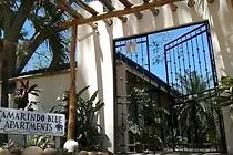 Blue Tamarindo