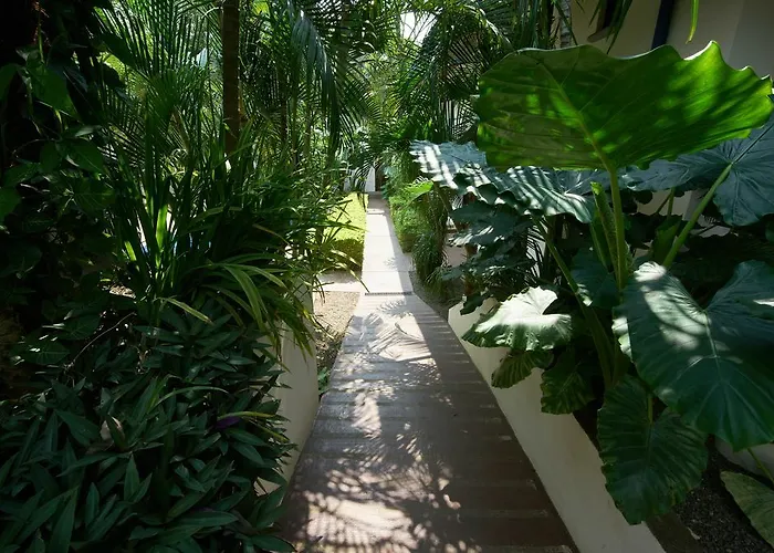 Hotel Blue Tamarindo